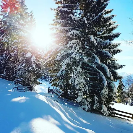 My Krinzwald * Seefeld in Tirol