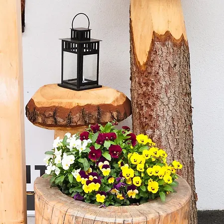 My Krinzwald 제펠드 인 티롤